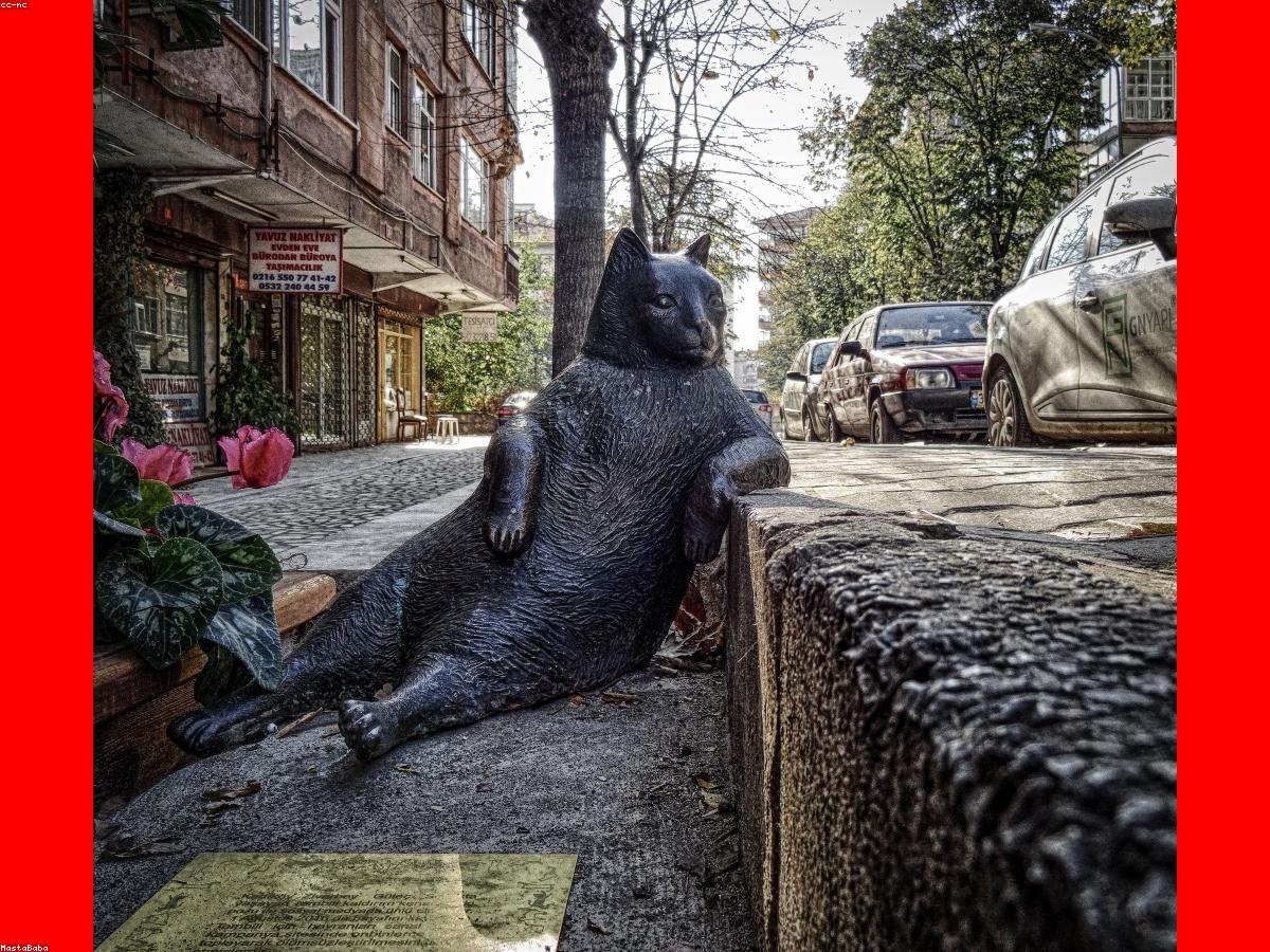 德甲勒沃库森不败战绩夺冠庆祝画面
